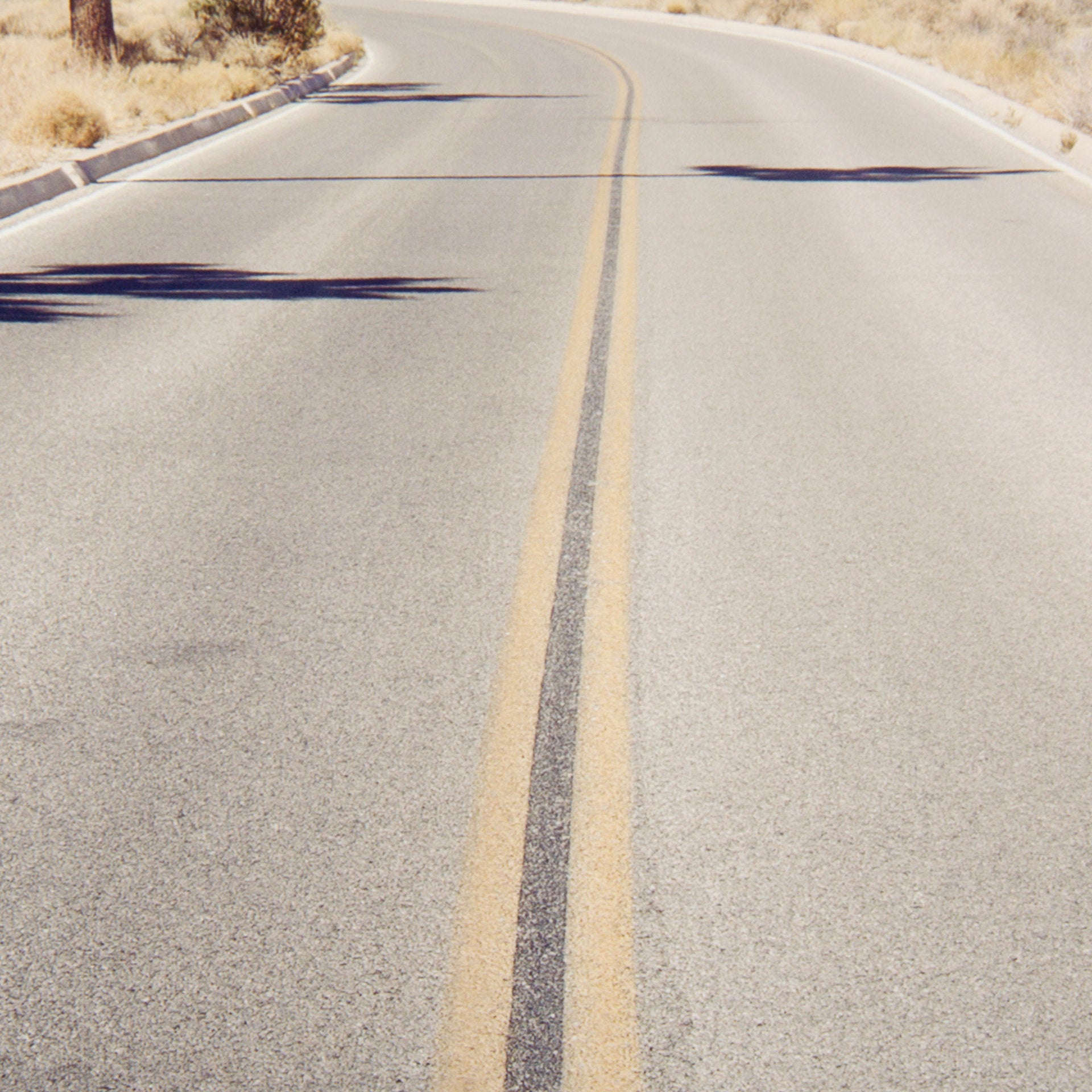 Desert Road by Irene Suchock