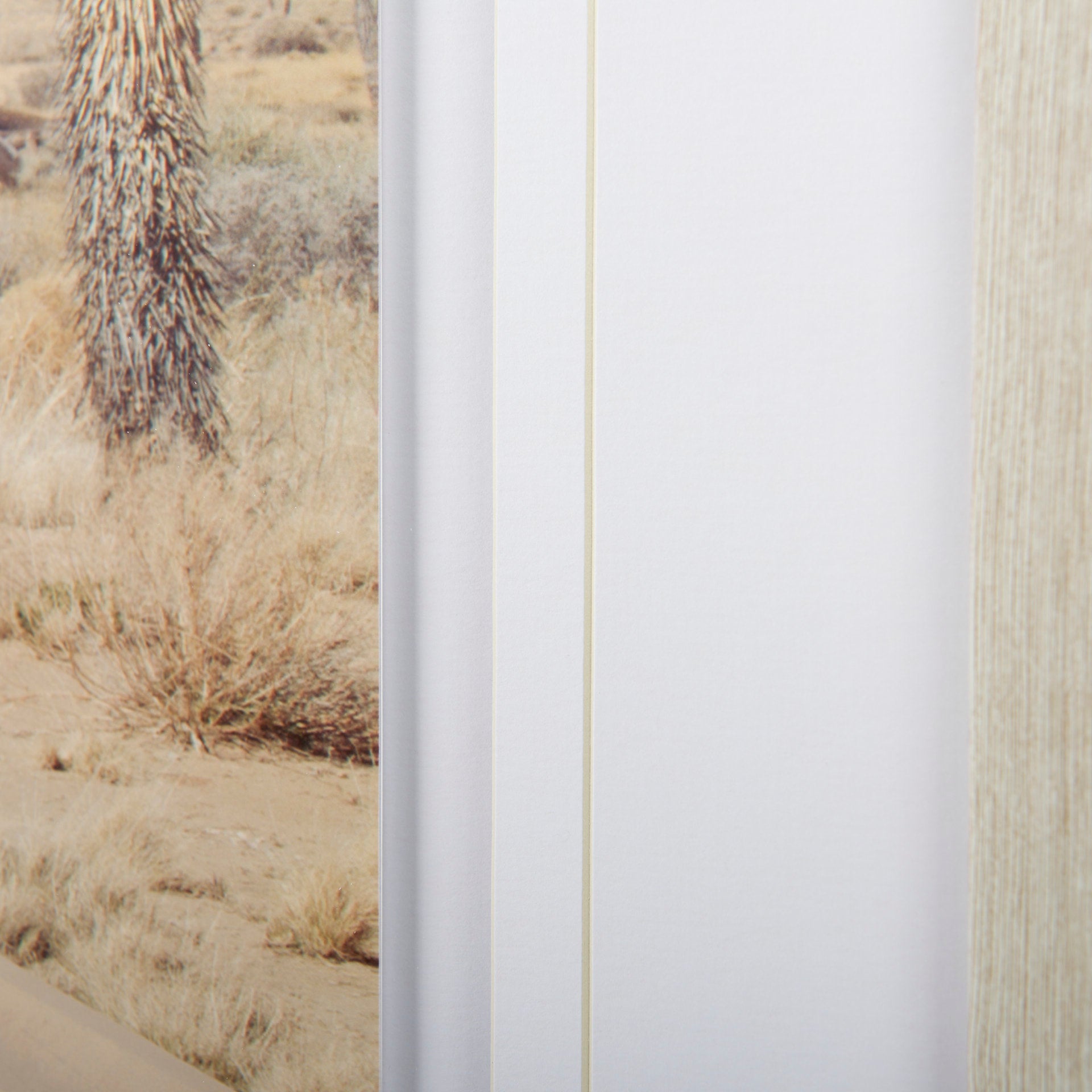 Desert Road by Irene Suchock