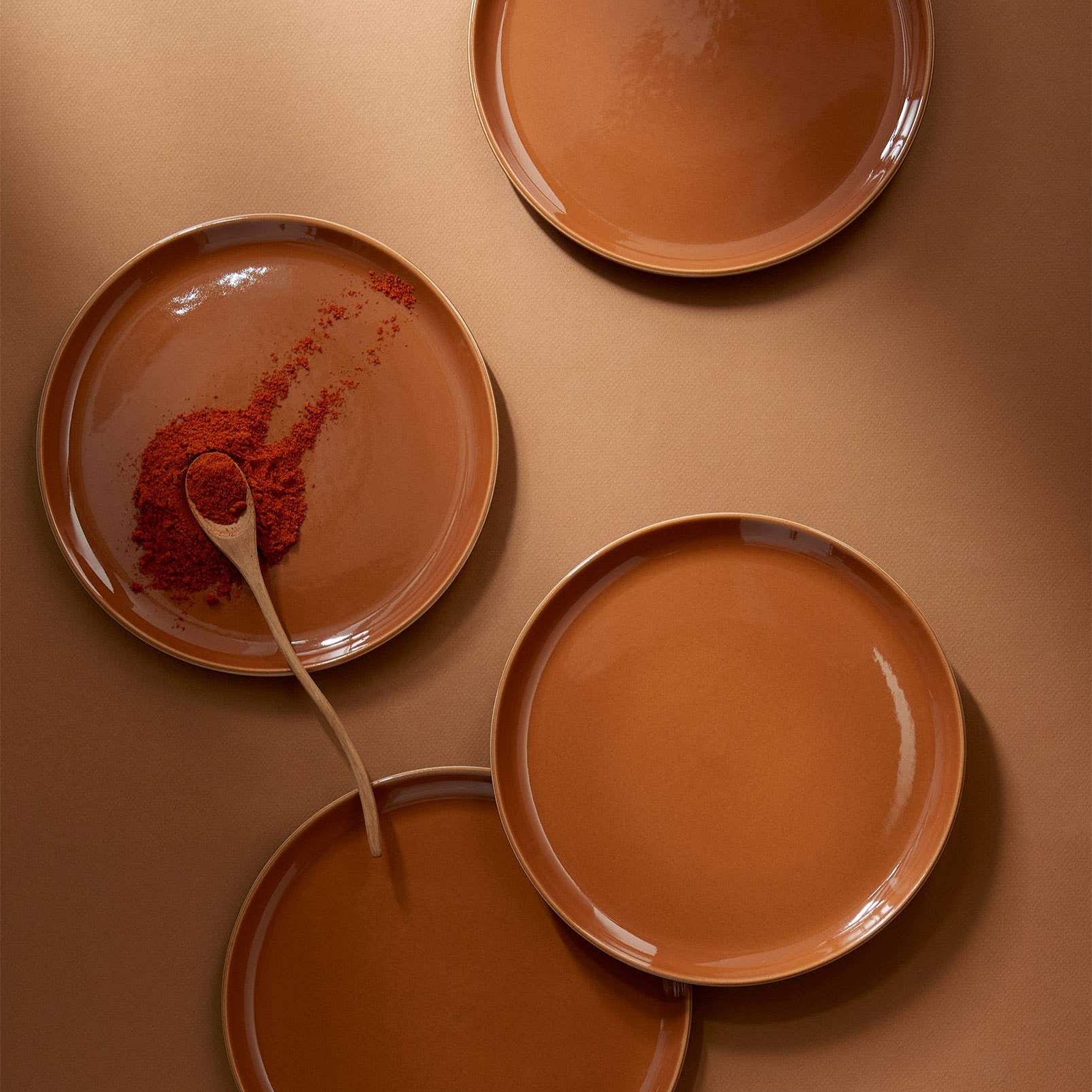 Edan Flat Salad/Dinner Plate | Matte Terracotta / Shiny Terracotta