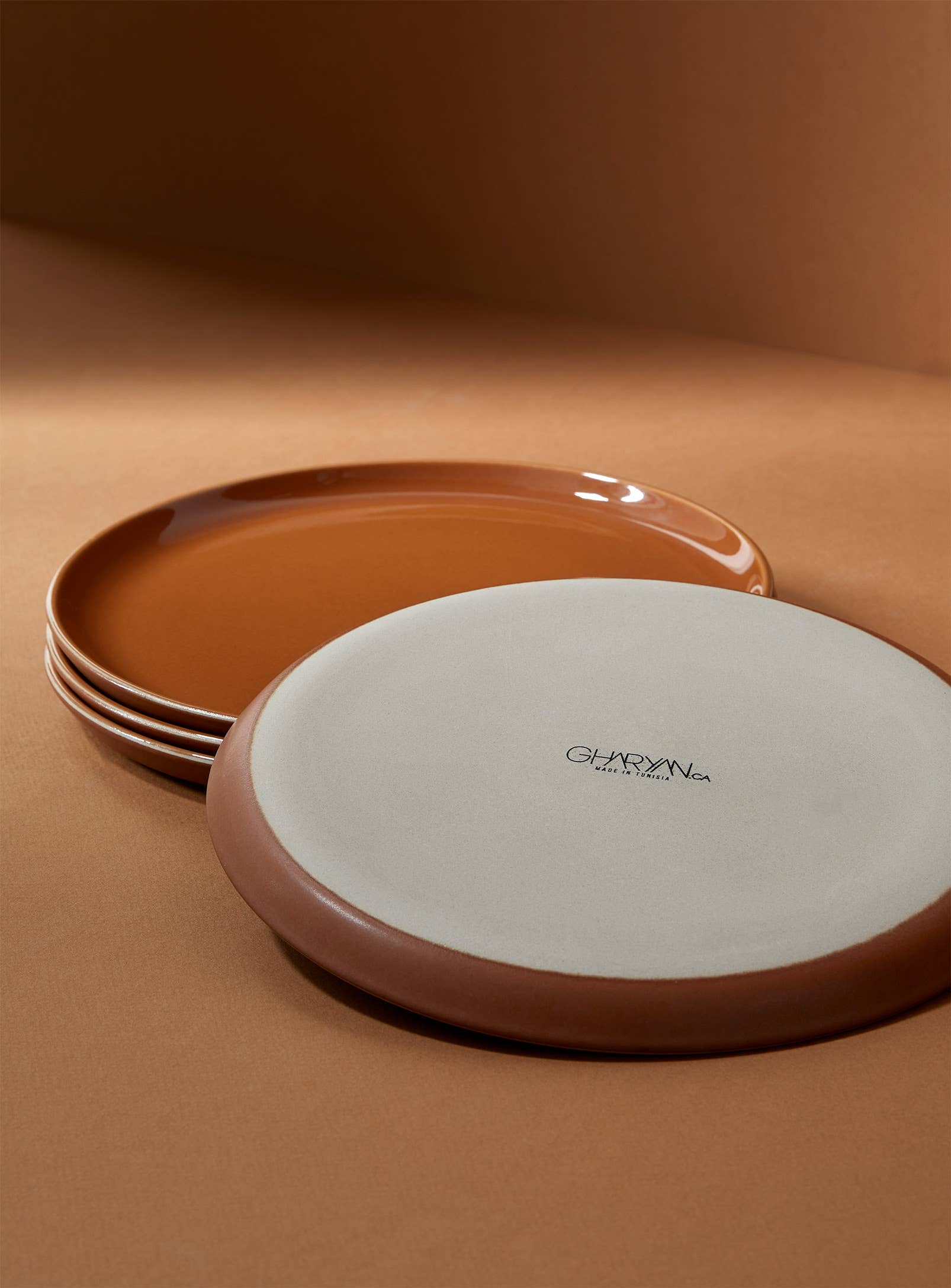 Edan Flat Salad/Dinner Plate | Matte Terracotta / Shiny Terracotta