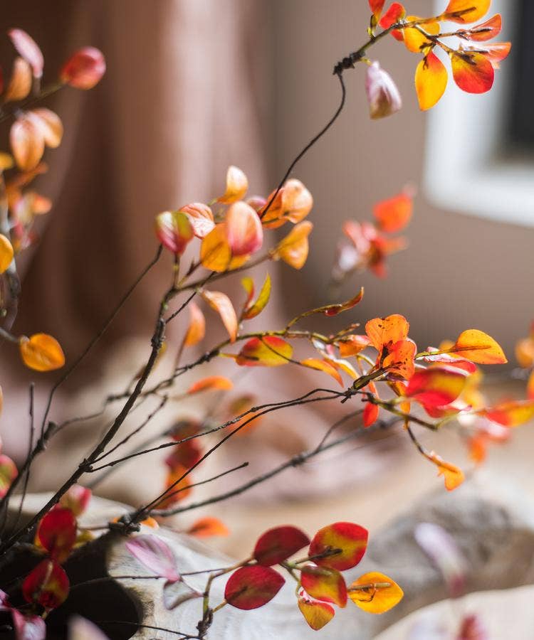 Red Vine Leaf Stem | Autumn Red