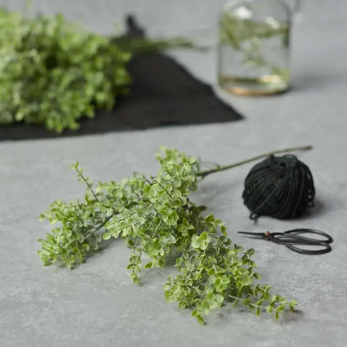 Boxwood Stem