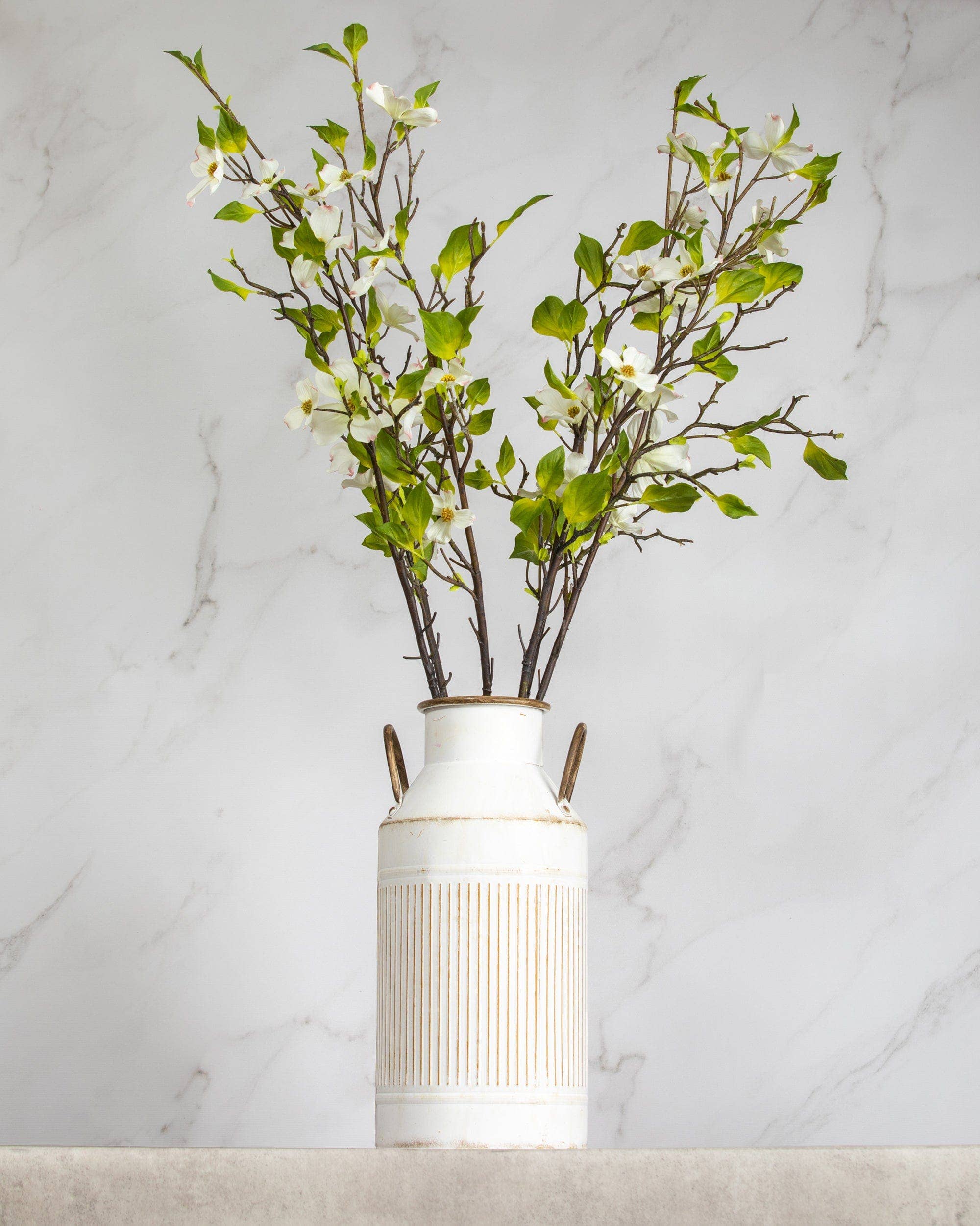 Dogwood Branch