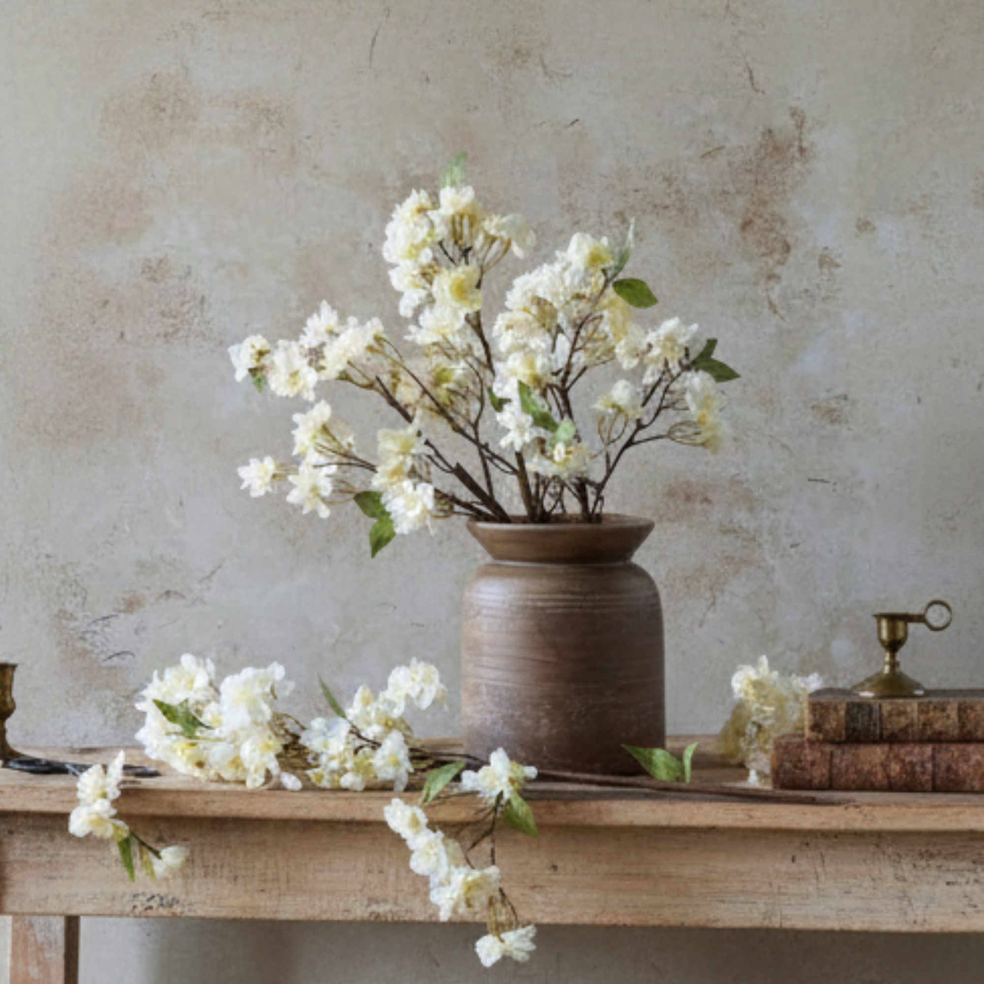 Apricot Blossom Stem
