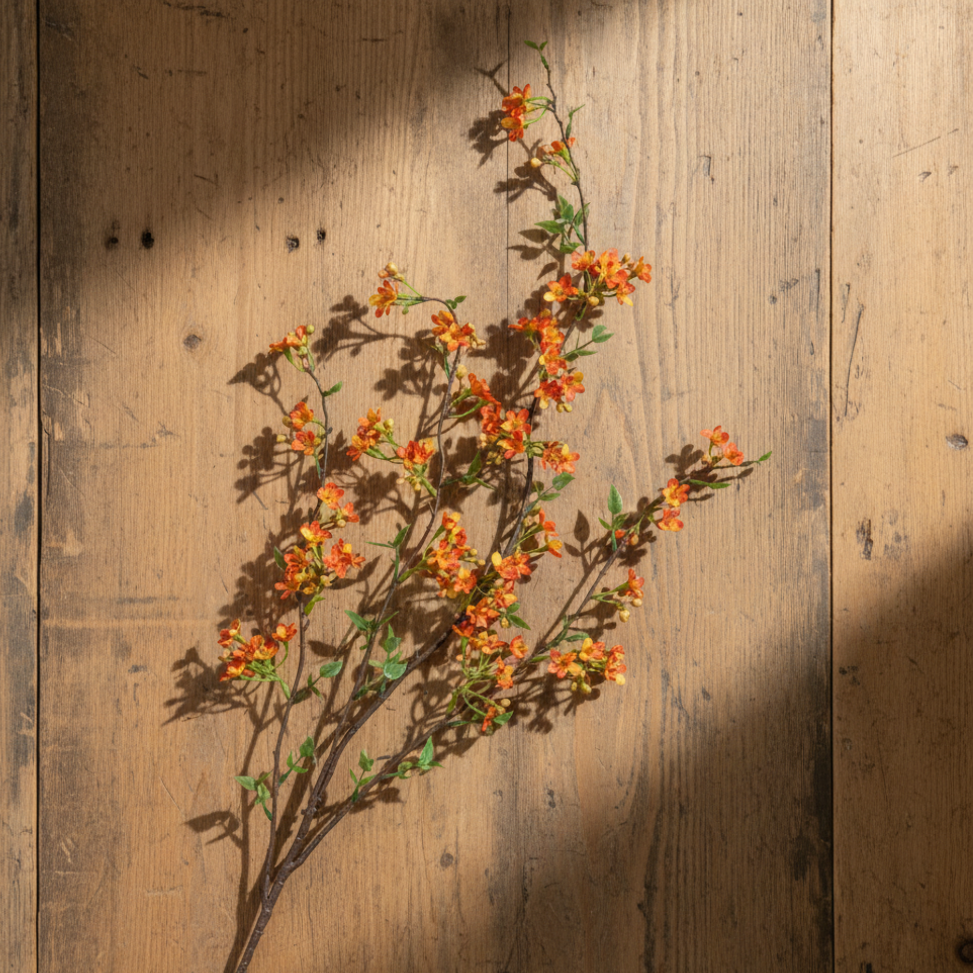 Wax Flower Spray | Orange/Yellow