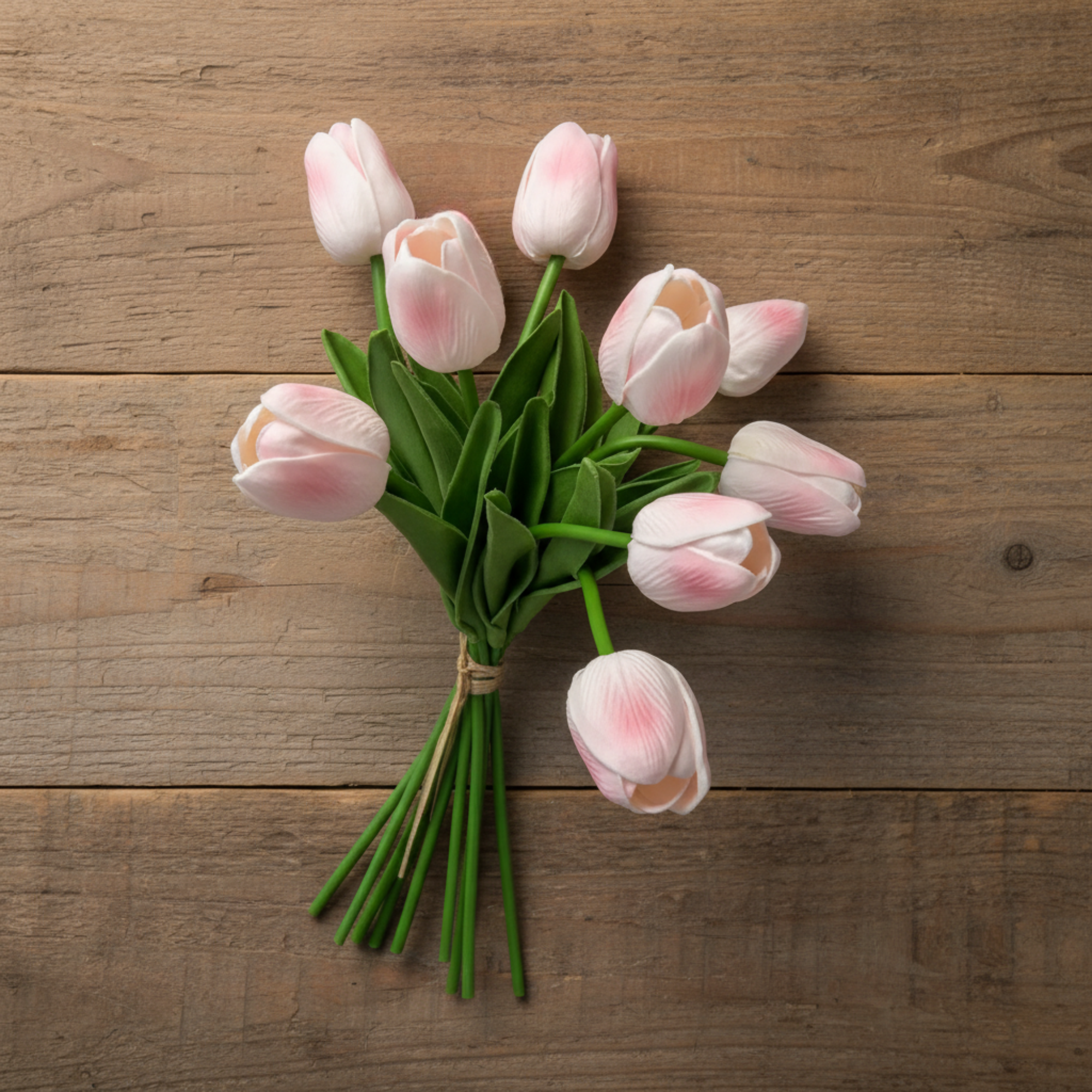 Dutch Tulip Bundle | Blush Pink