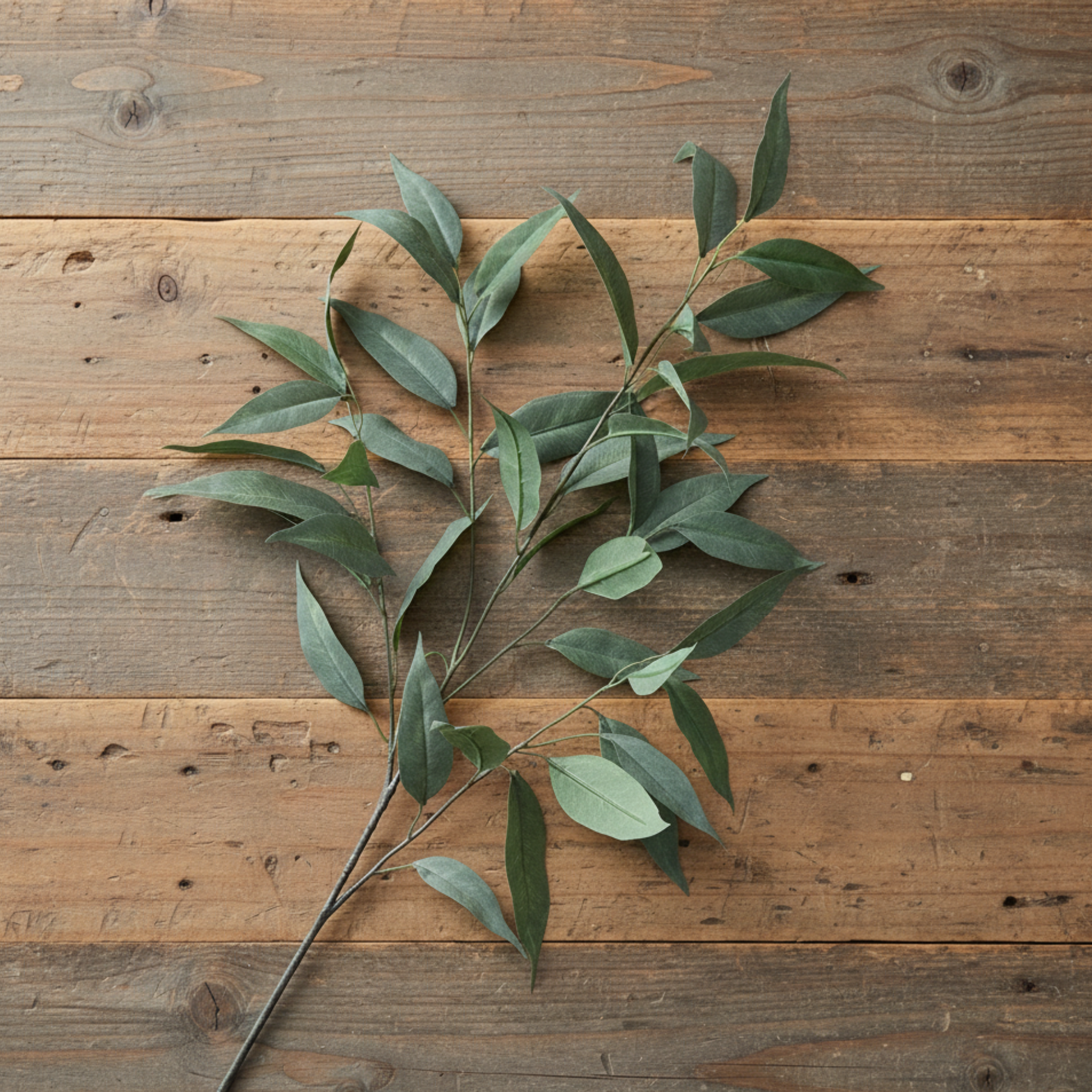 Willow Eucalyptus Spray