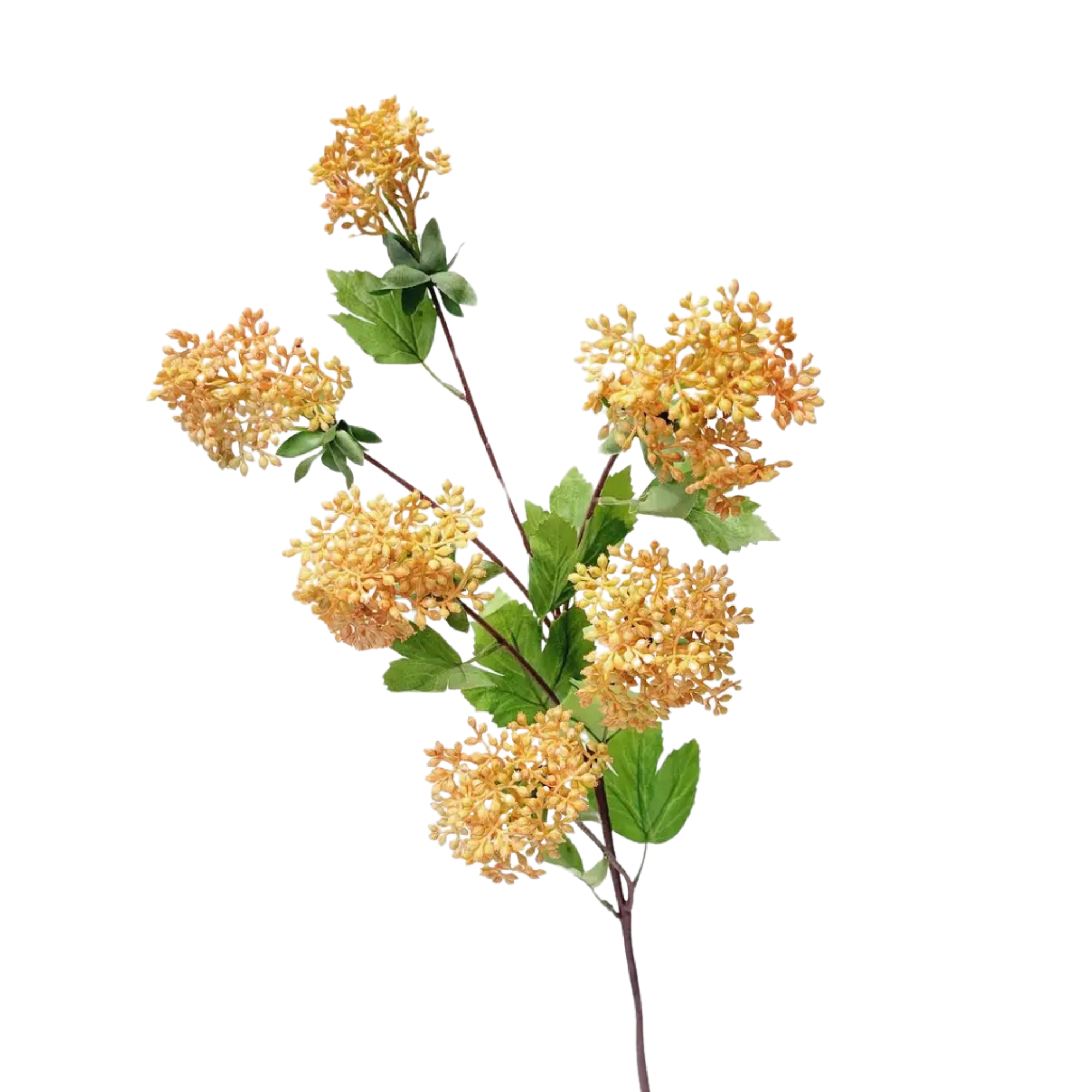 Rice Flower Spray with Leaves | Orange