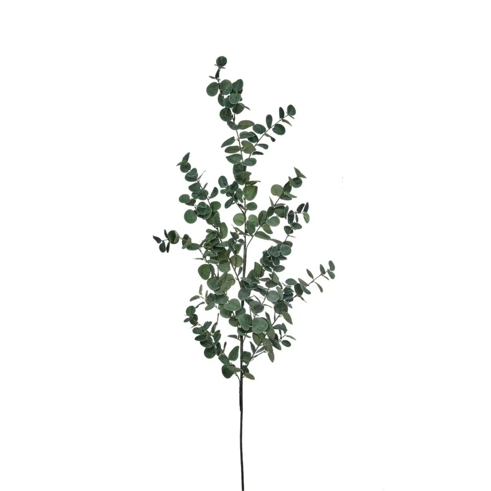 Grand Eucalyptus Spray | Grey/Green