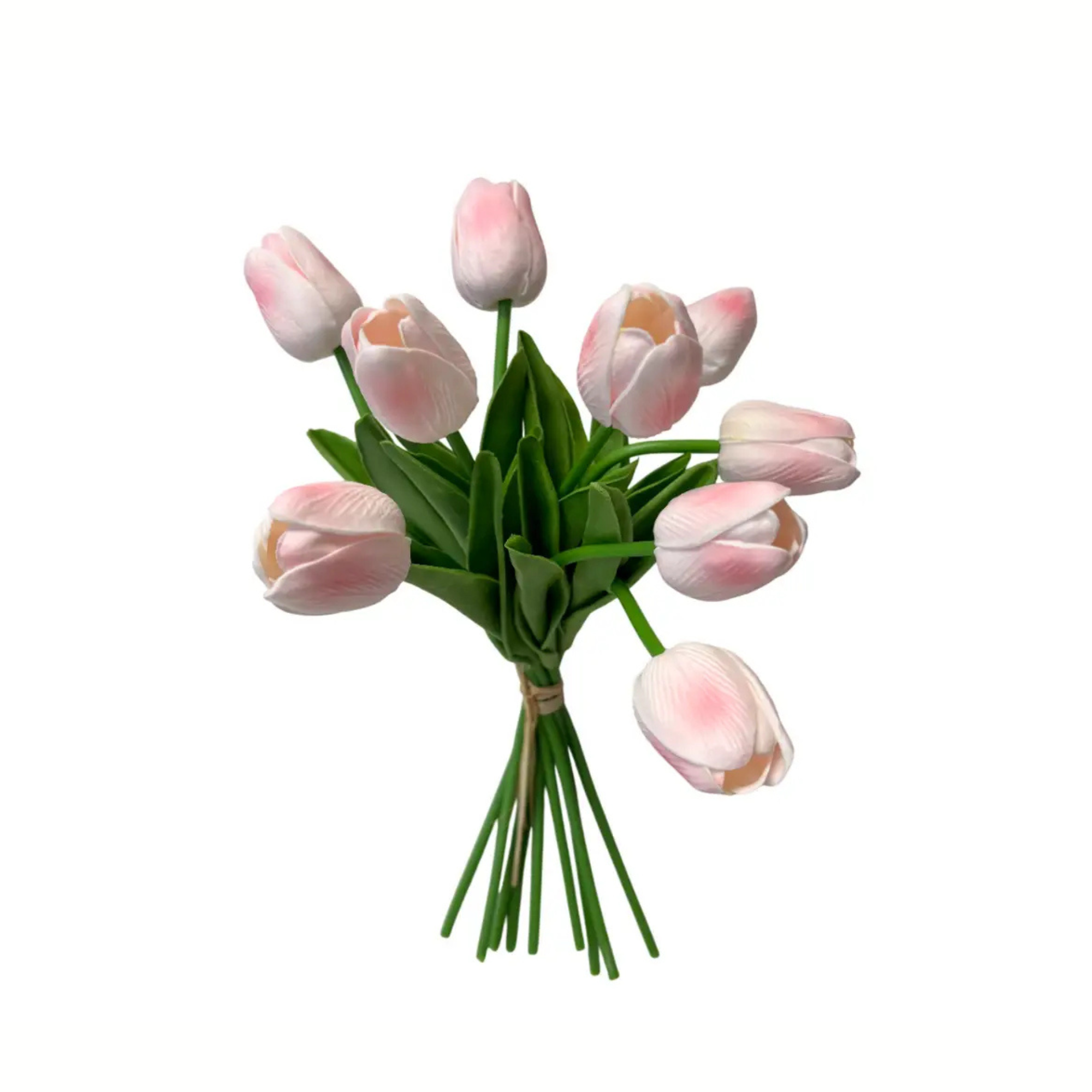 Dutch Tulip Bundle | Blush Pink