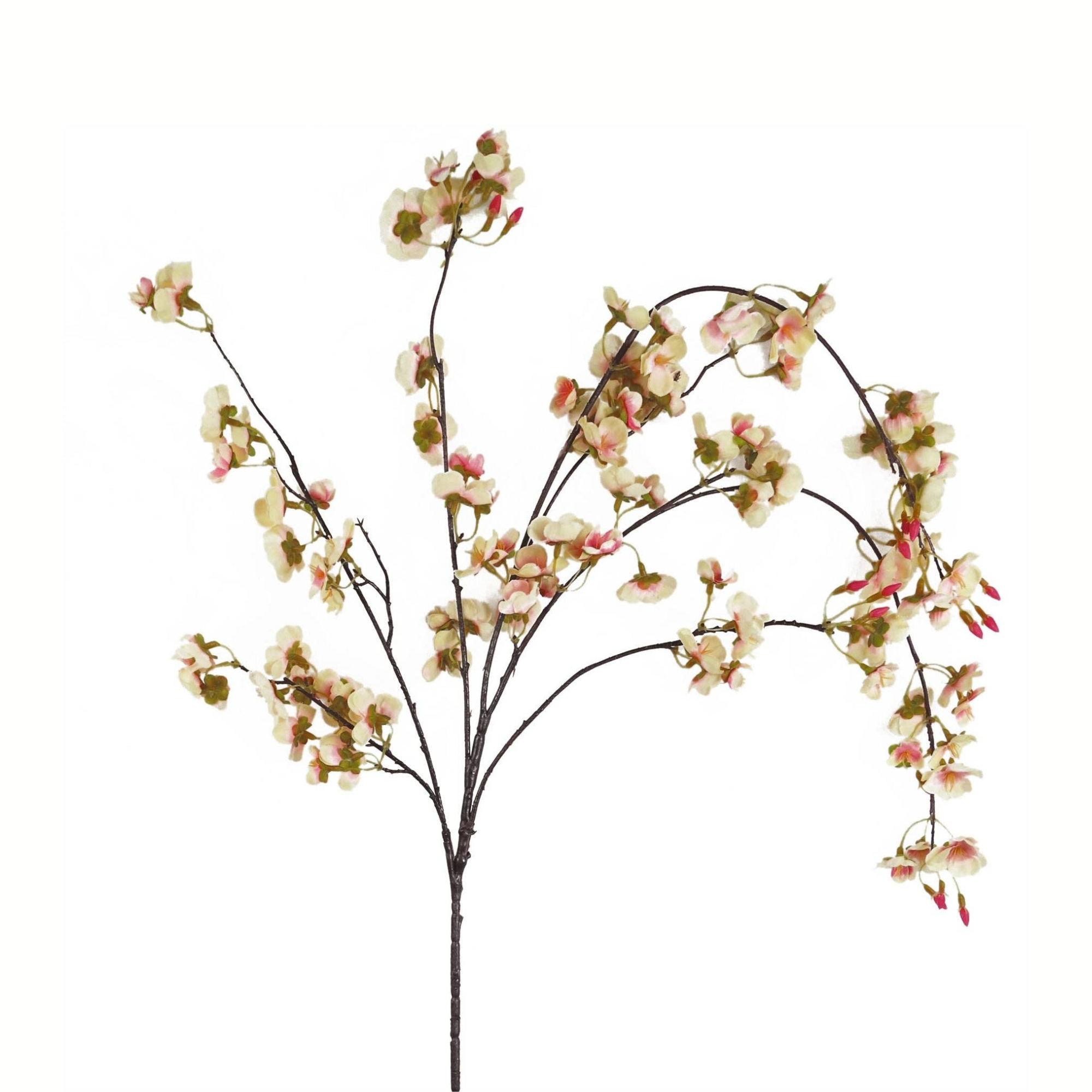 Natural Pink Trailing Cherry Blossom Stem
