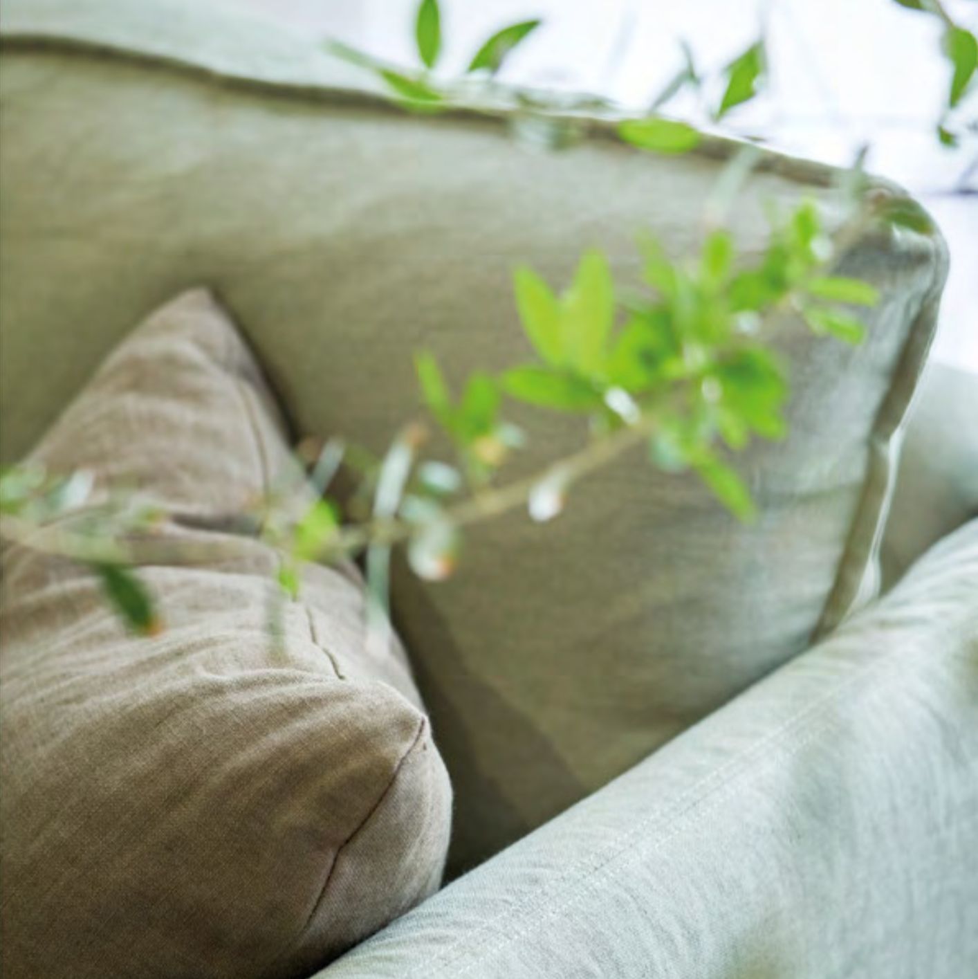 Designer Appointments