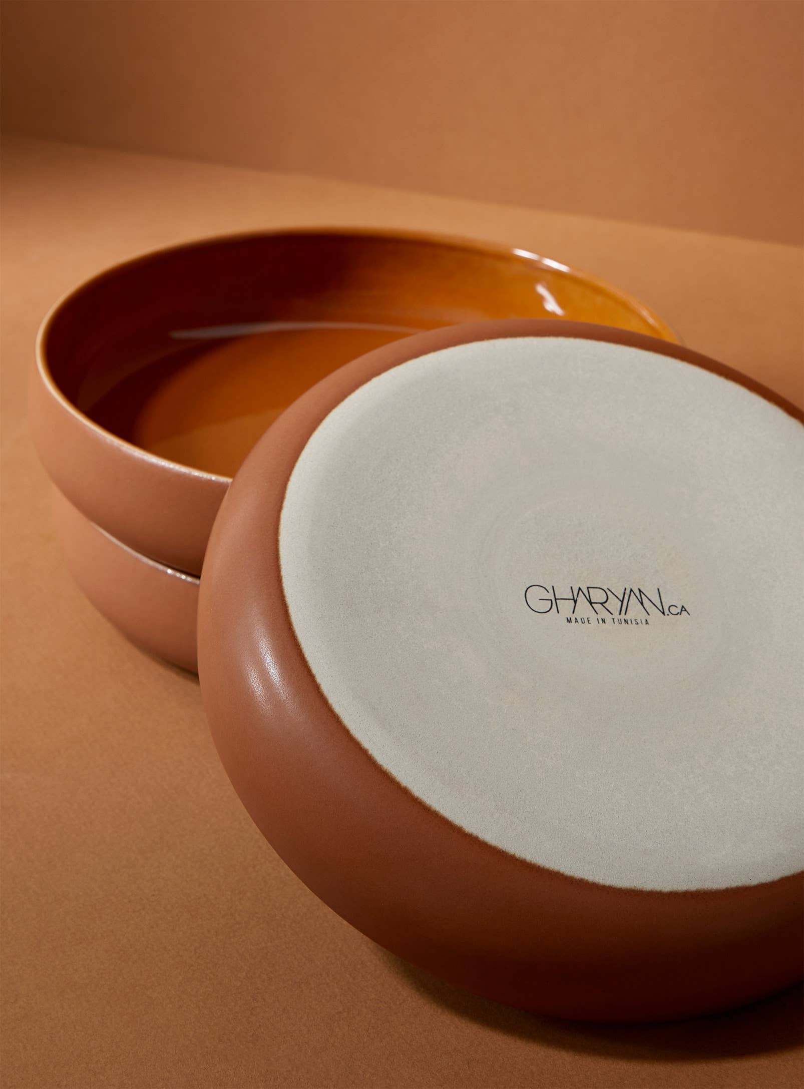 Edan Pasta/Salad Plate | Matte Terracotta / Shiny Terracotta