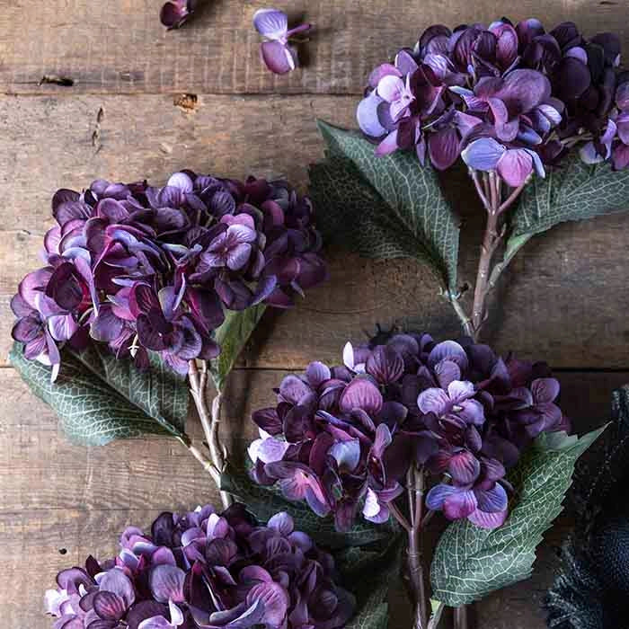 Hydrangea Damson Stem