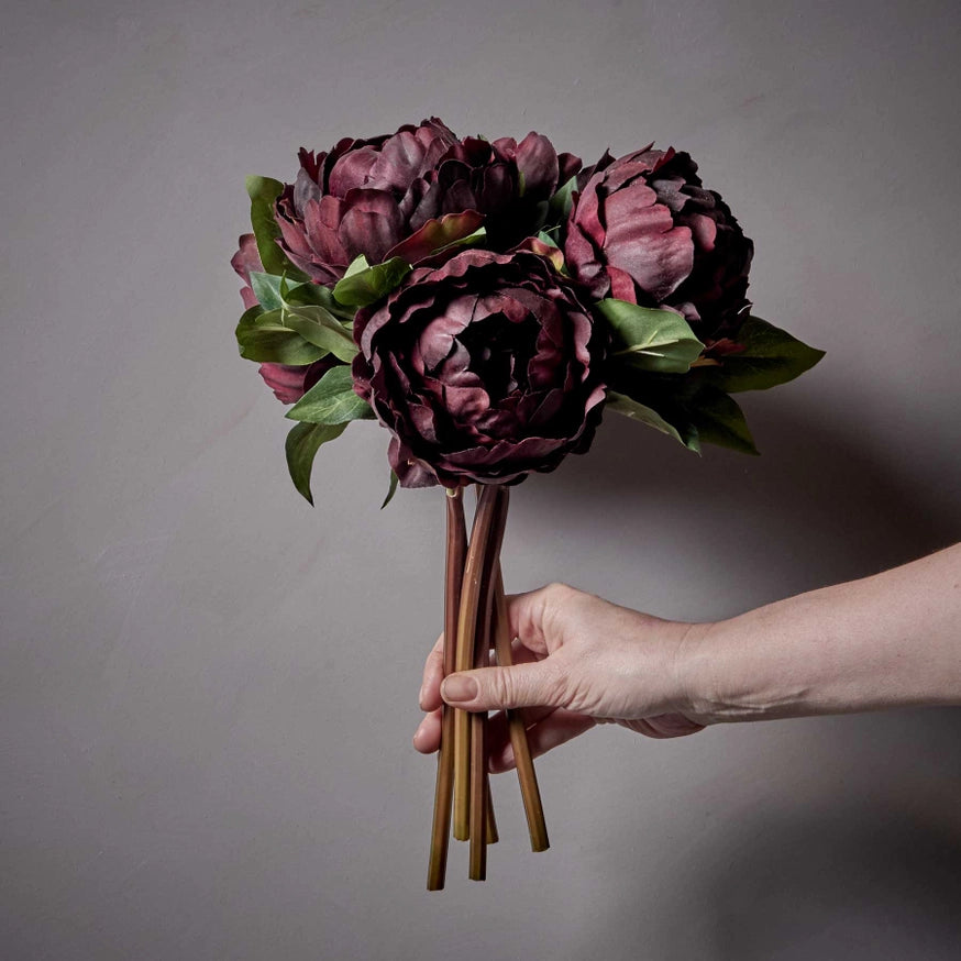 Peony Plum
