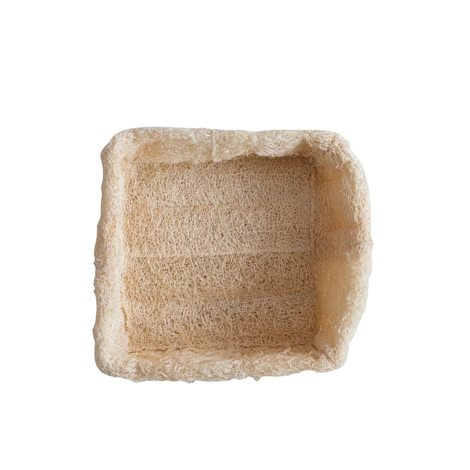 Natural Loofah Soap Dish | Large
