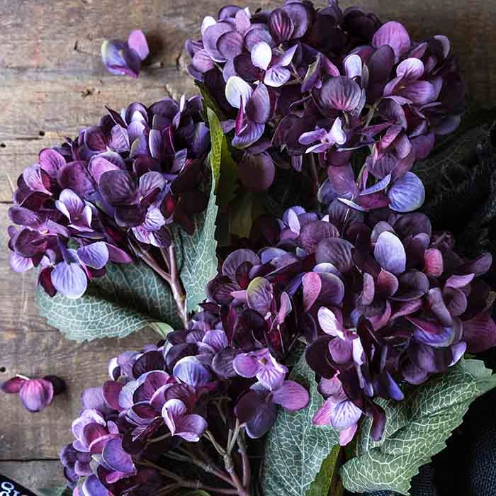Hydrangea Damson Stem