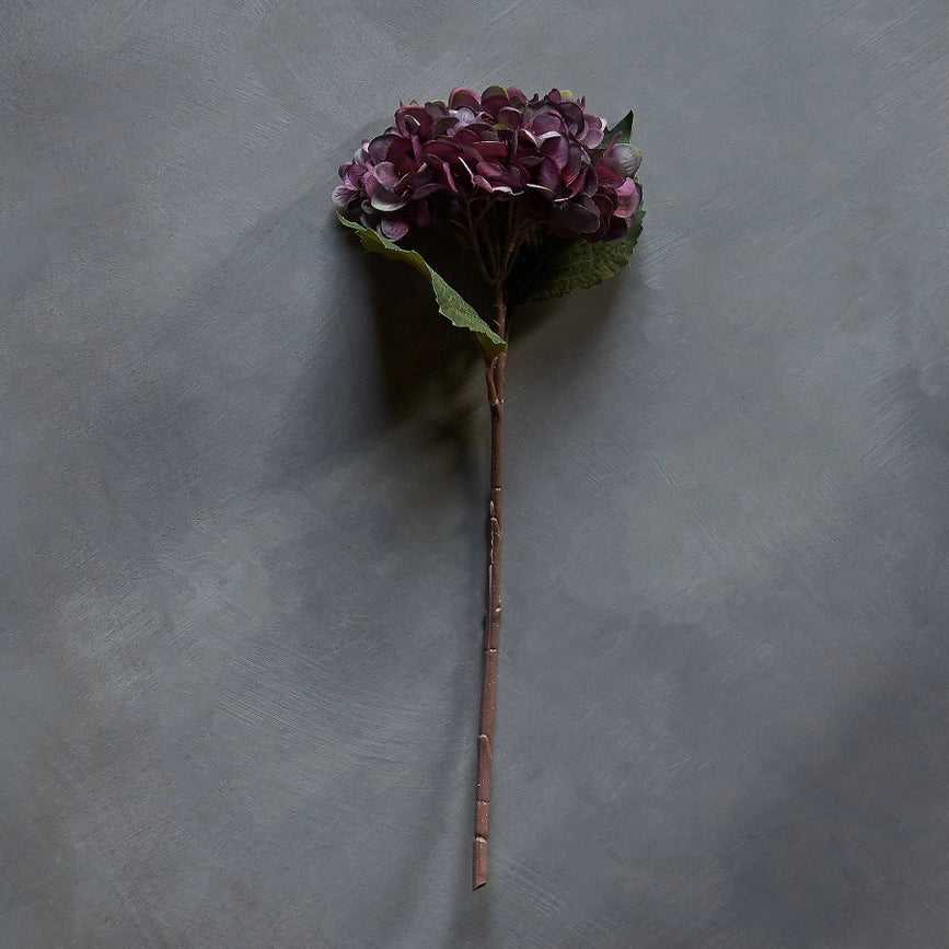 Hydrangea Damson Stem