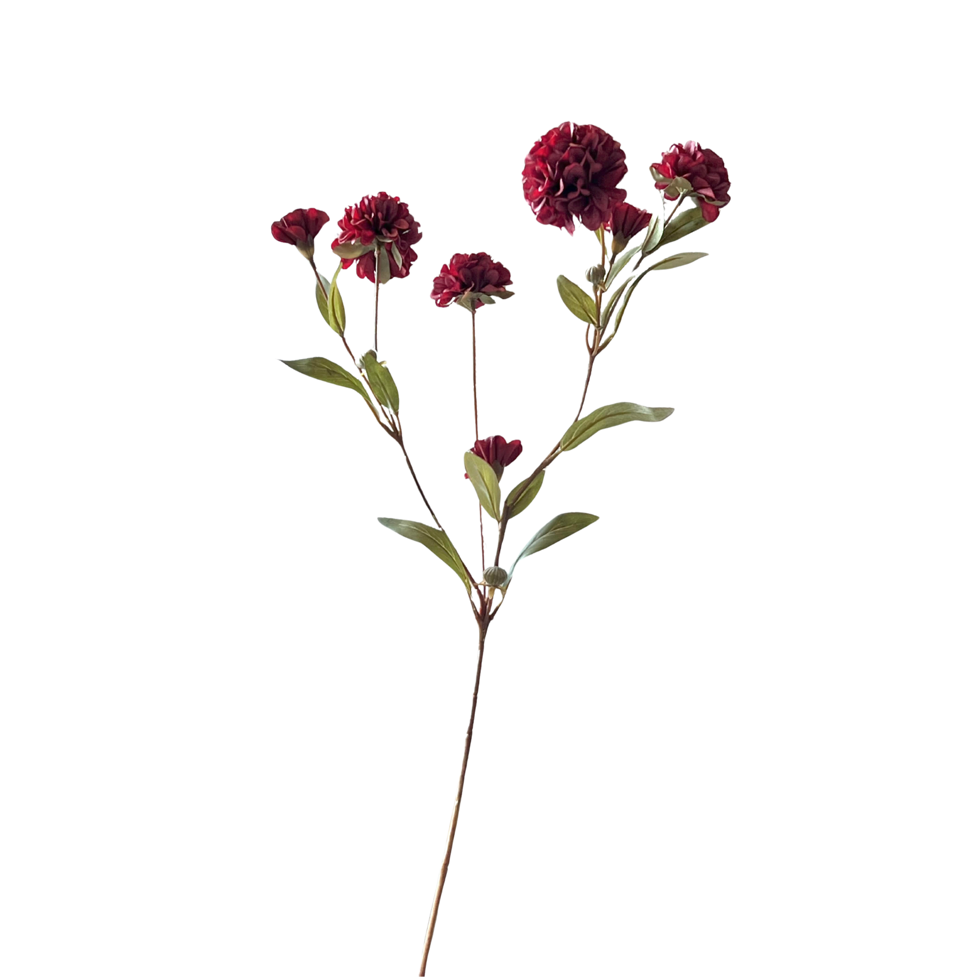 Ball Dahlia Stem | Burgundy