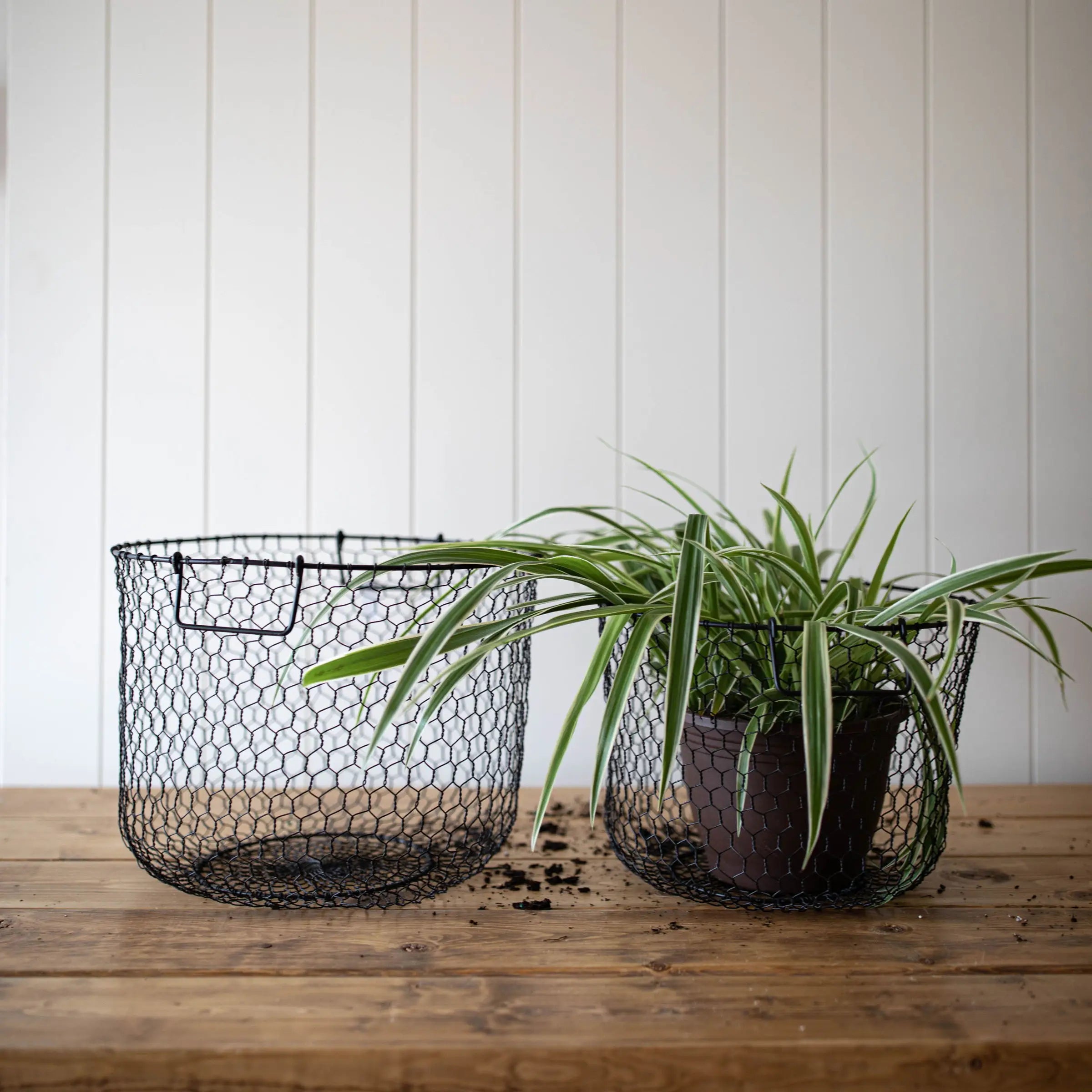 Barric Basket Round | Two Sizes