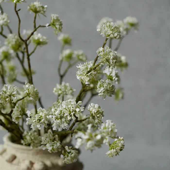 Blossom Stem