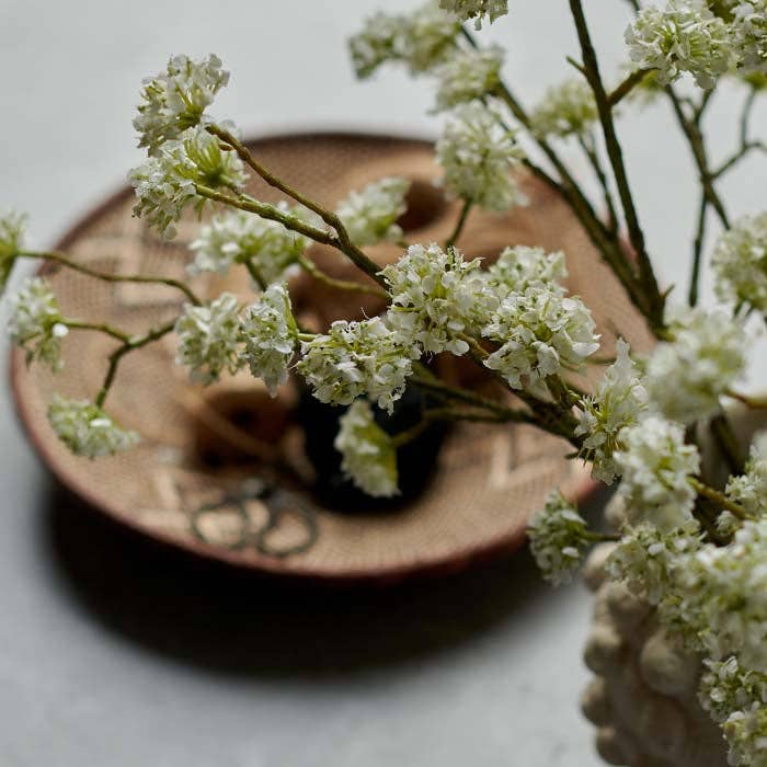 Blossom Stem