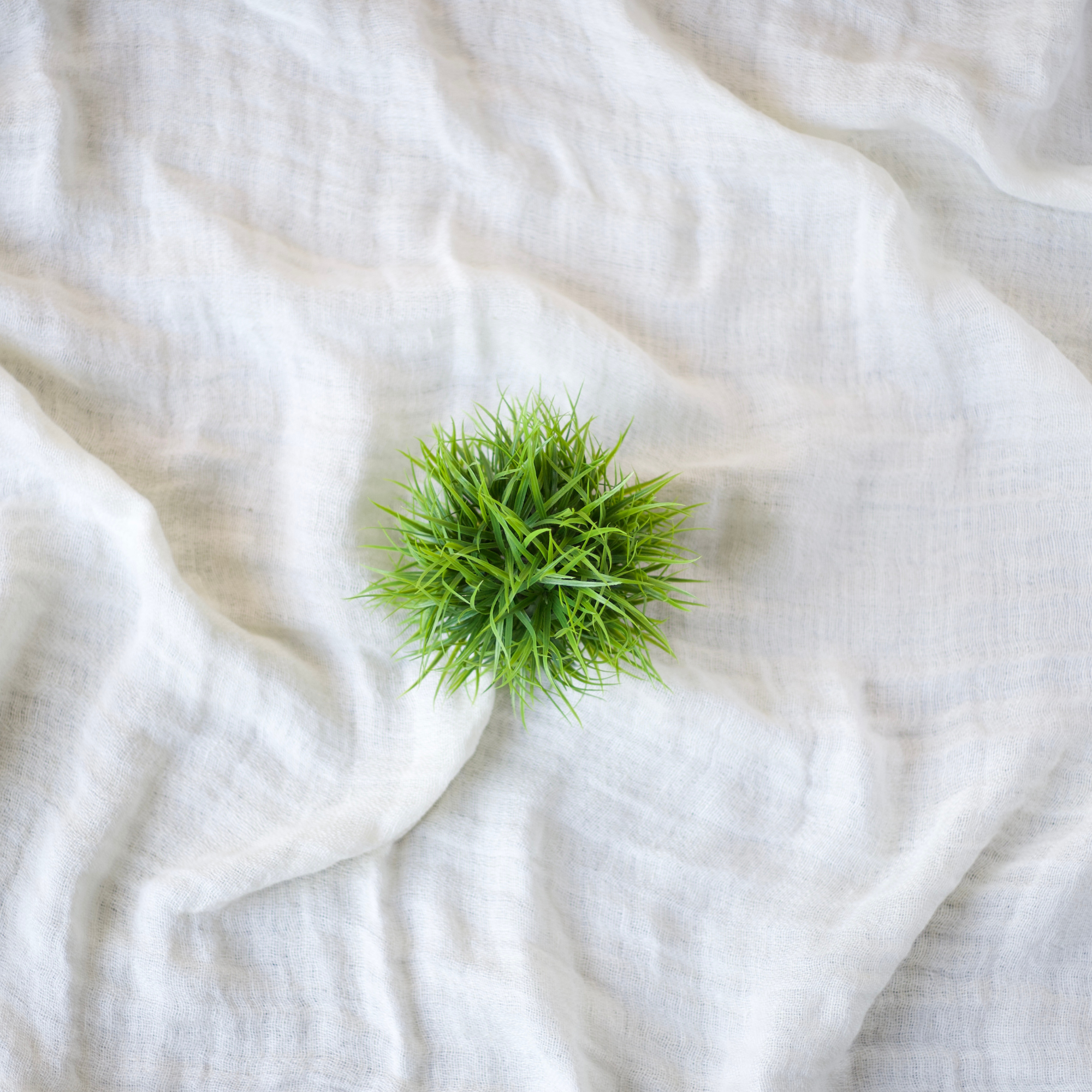 Grass Ball | 5"