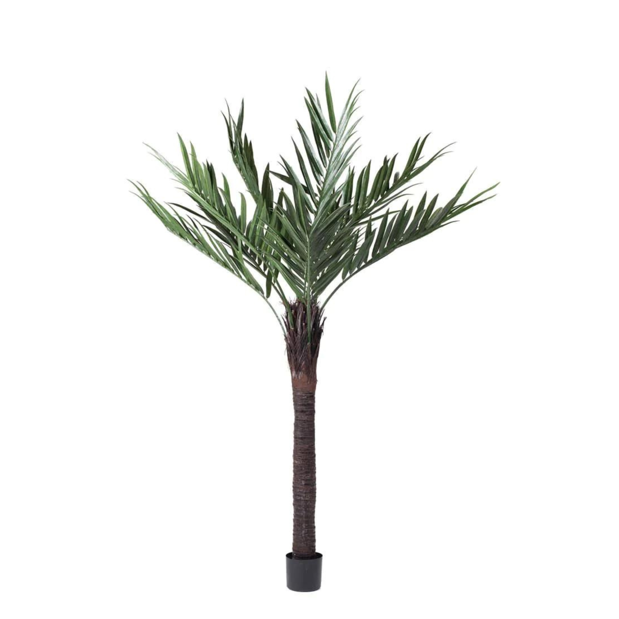 Artificial Kentia Palm