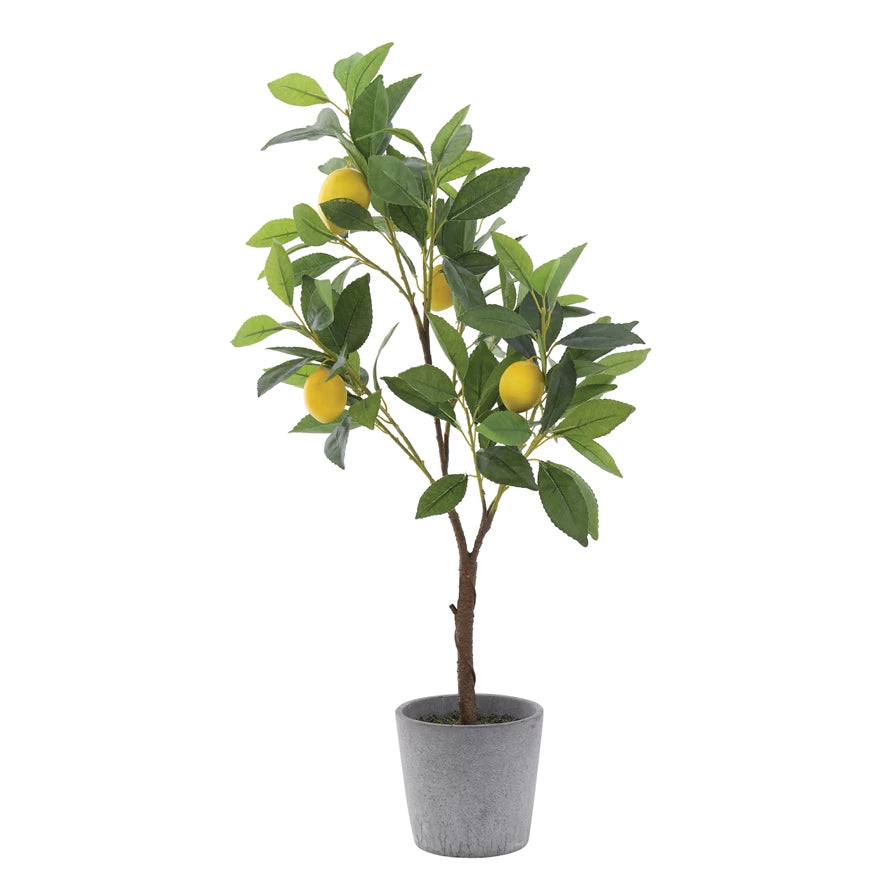 Lemon Tree In Cement Pot | Faux
