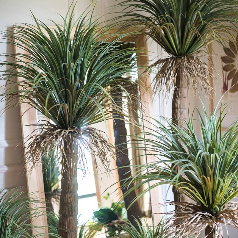 Moroccan Palm Tree | X Large