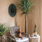 Moroccan Palm Tree | Medium