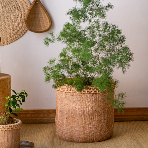 Large Straw Looking Concrete Planter