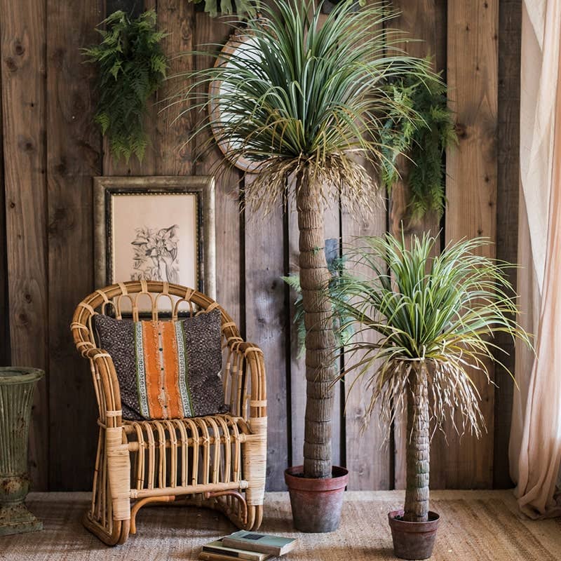 Moroccan Palm Tree | X Large