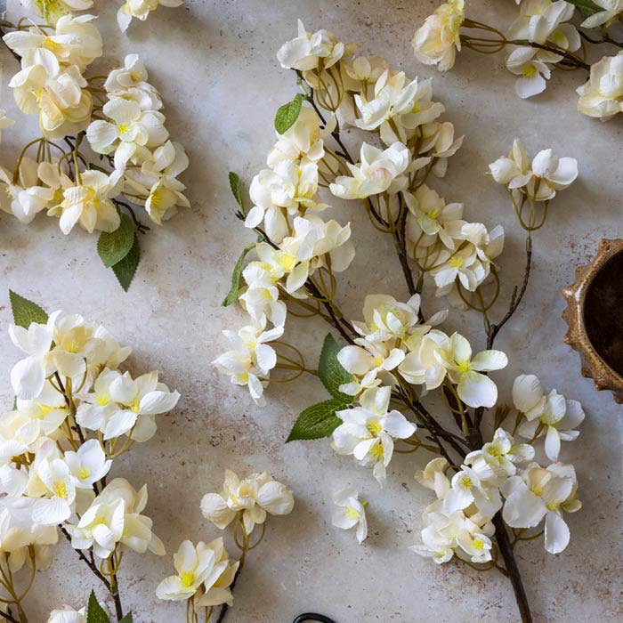 Apricot Blossom Stem