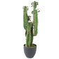 Artificial Cactus Plant