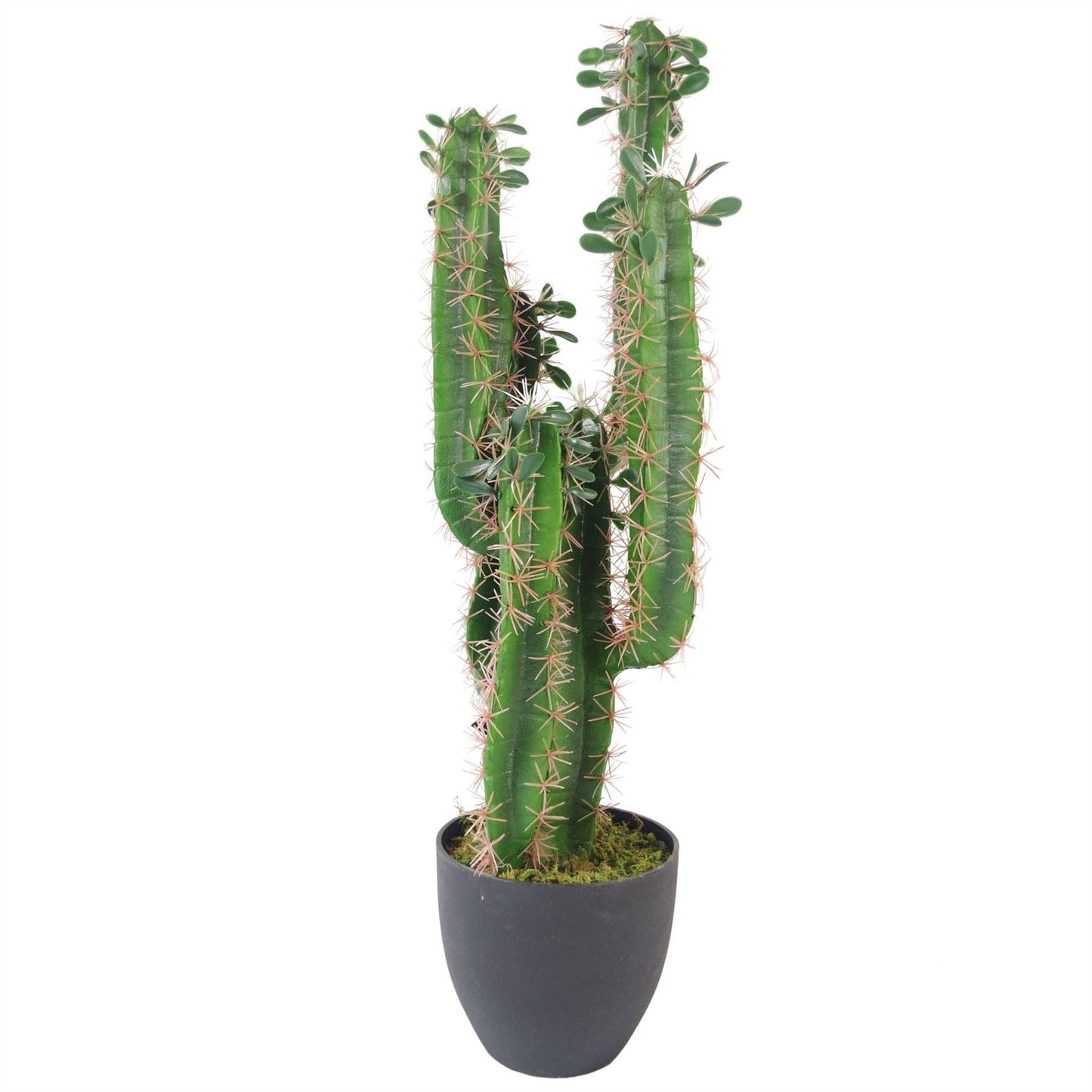 Artificial Cactus Plant