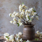 Apricot Blossom Stem