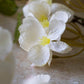 Apricot Blossom Stem