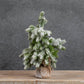 Snowy Tree with Burlap Base | 16.5"