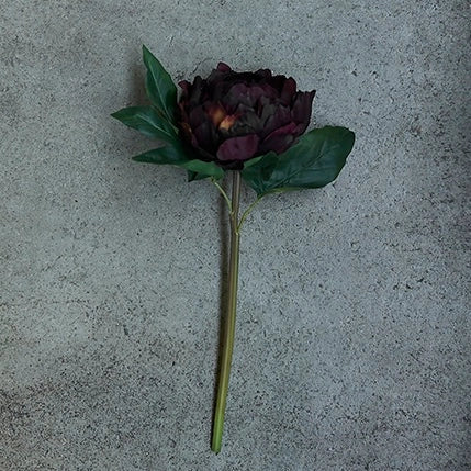 Peony Plum