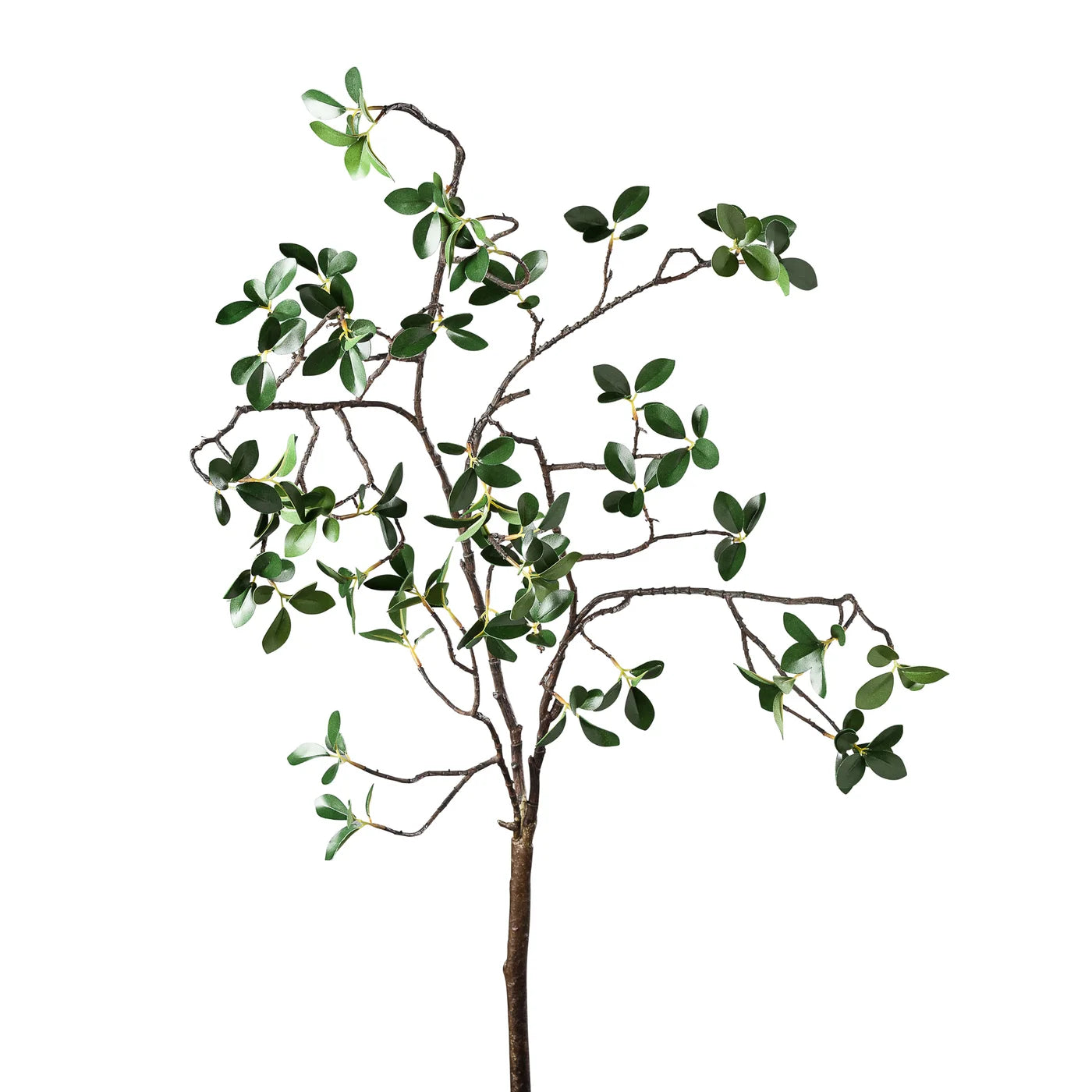 Grove Mini Leaf Branch