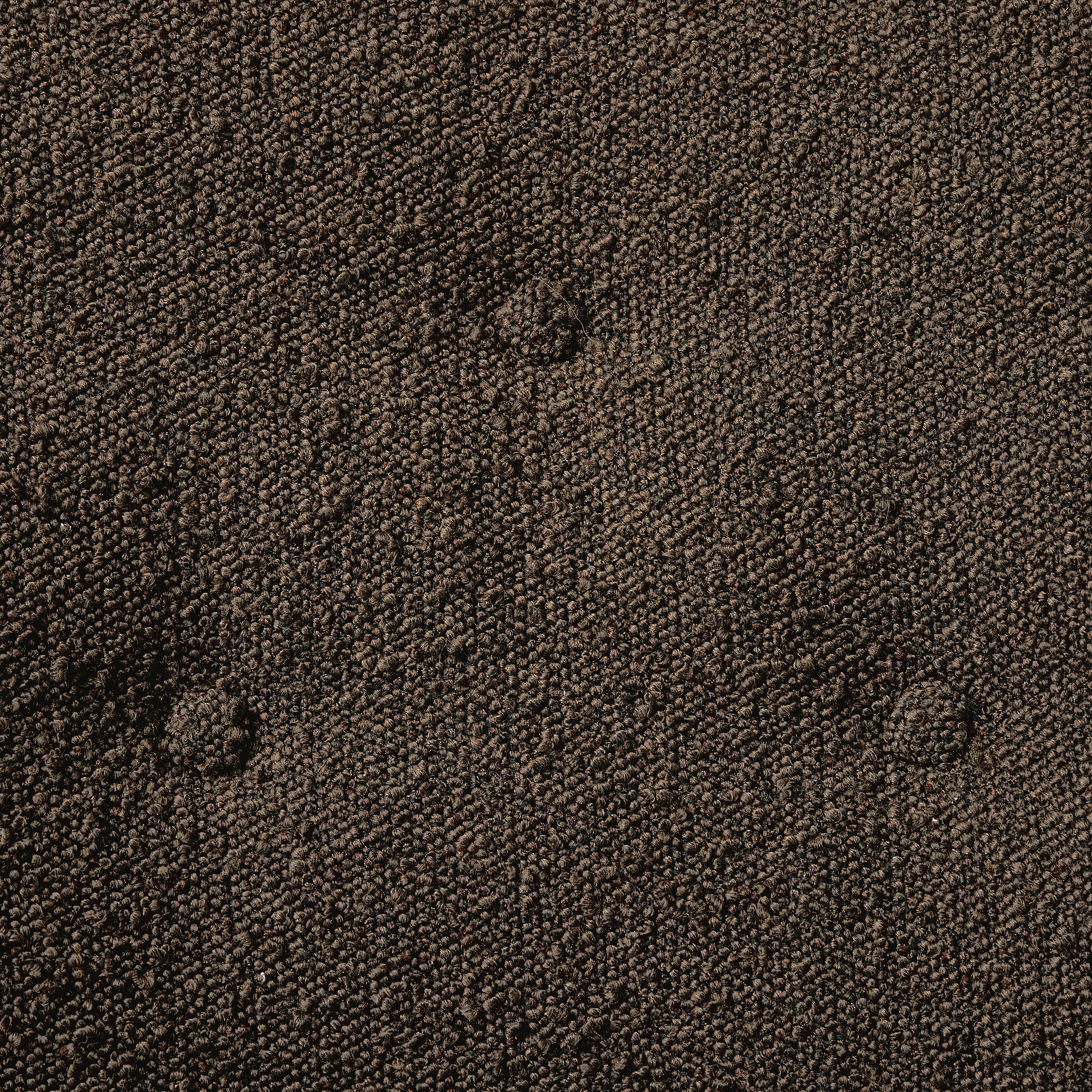 Marnie Chair | Floor Sample