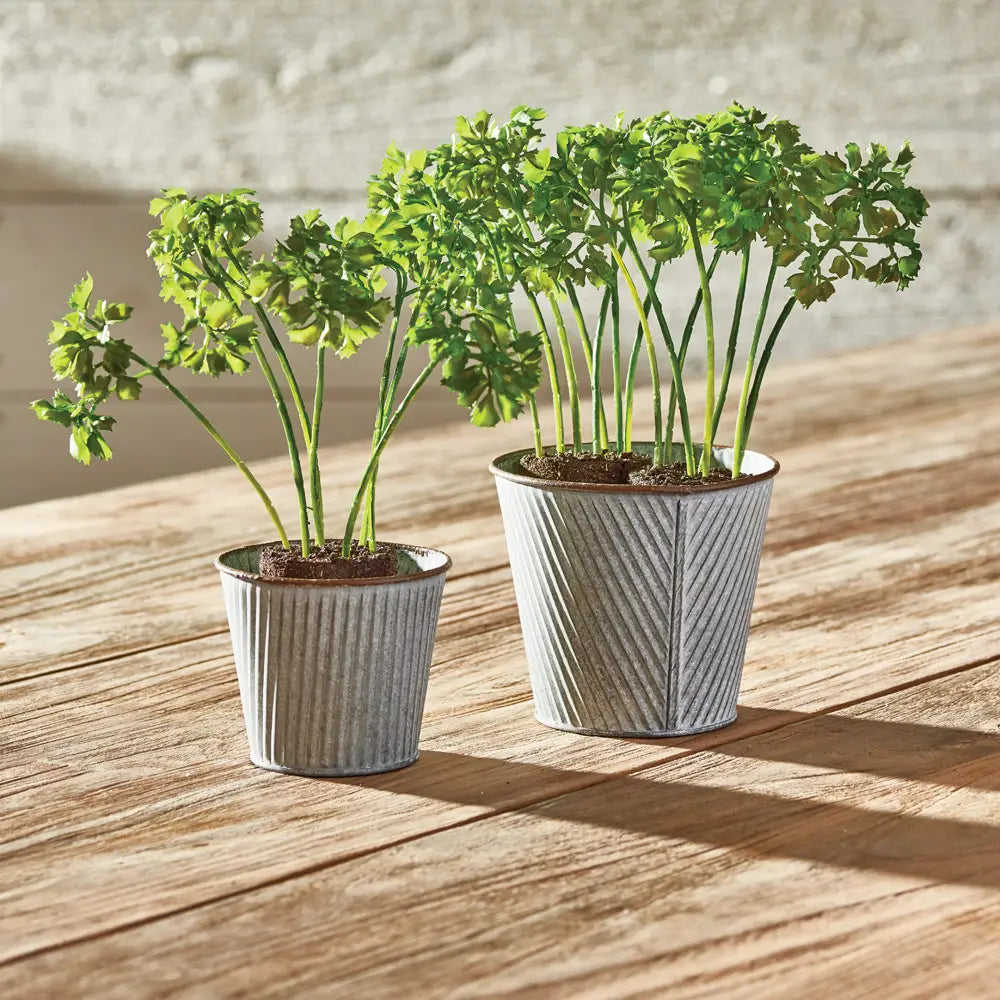 Parsley Drop-In