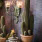 Columnar Cactus | Large