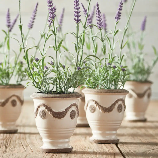 French Lavender Drop-In