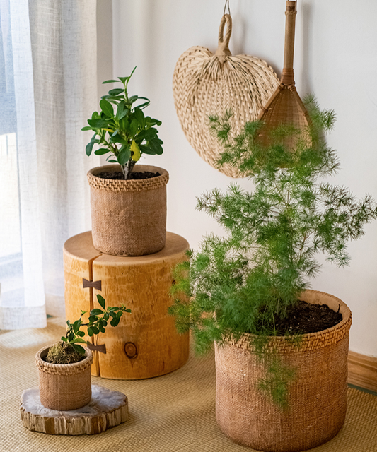 Large Straw Looking Concrete Planter