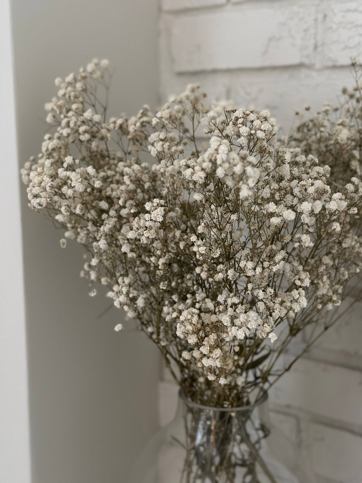 Natural Preserved Baby’s Breath