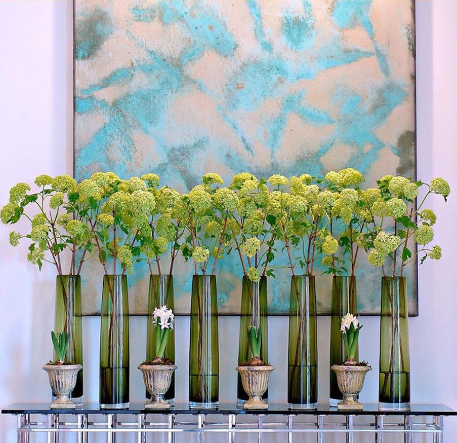 Snowball Hydrangea Stem