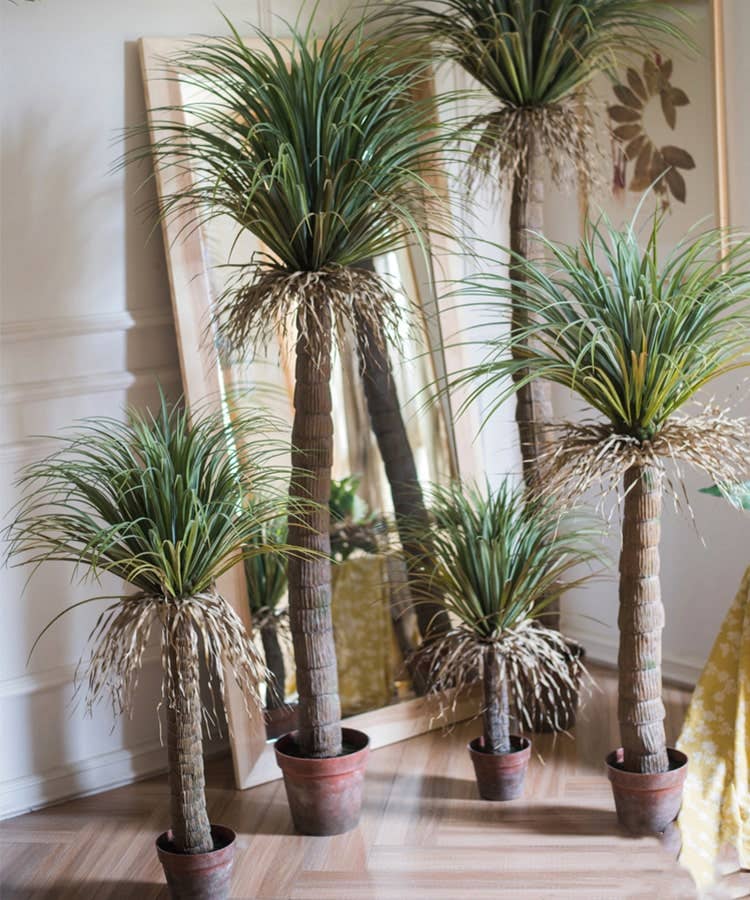 Moroccan Palm Tree | Medium