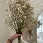 Natural Preserved Baby’s Breath